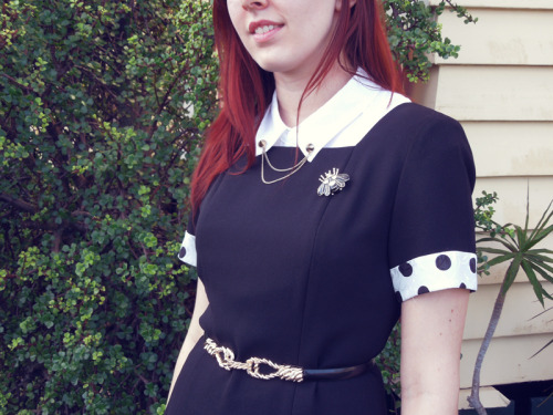 Le Zinc Vintage dress, Target polkadot blouse, Lovisa Beetle Brooch, Stud Collar Clips